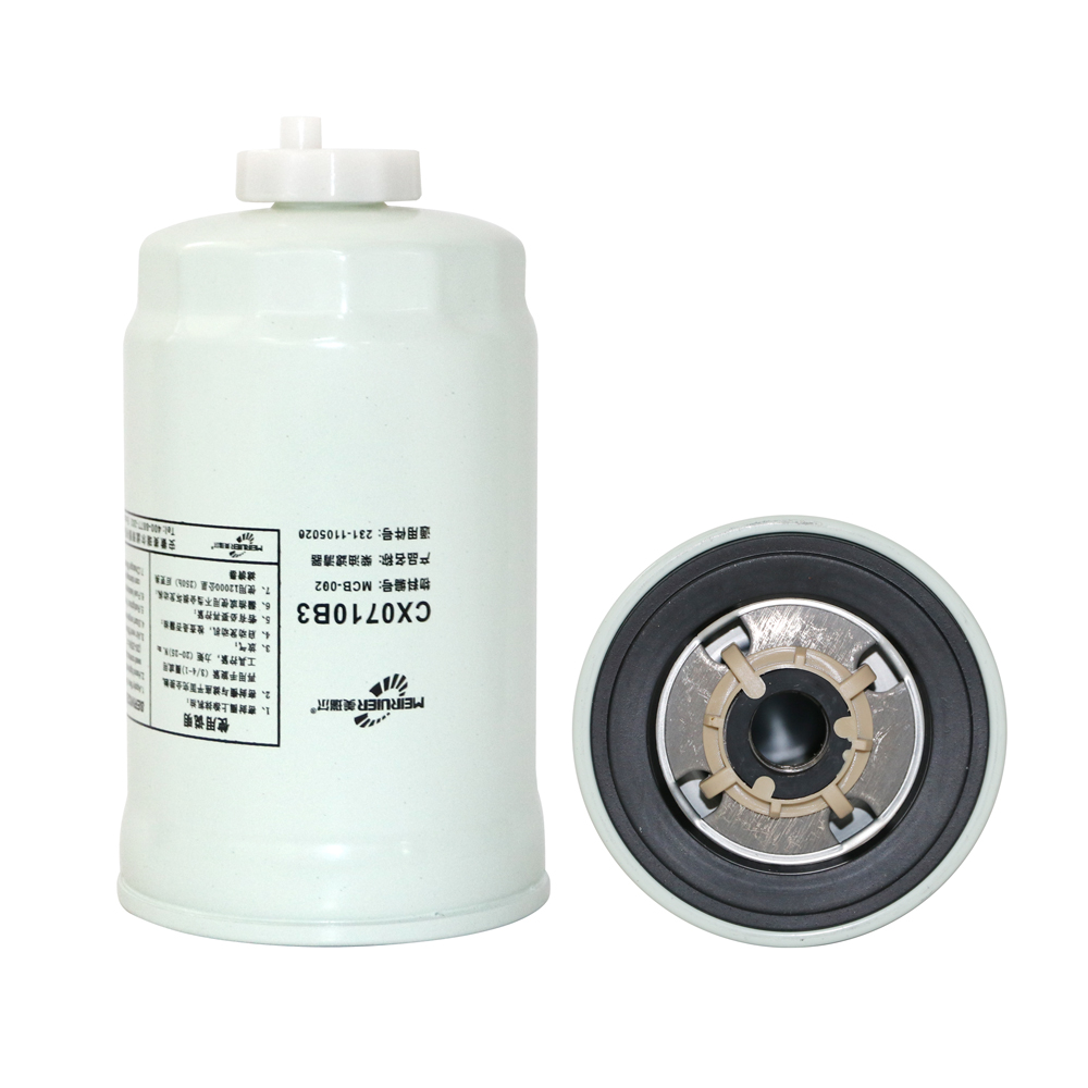 FS19544 231-1105020 China Filter Factory Wholesale Filters for Passenger Car, Truck and Heavy Truck